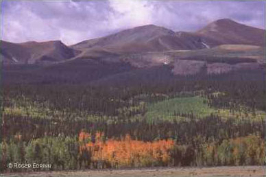 San Luis Peak