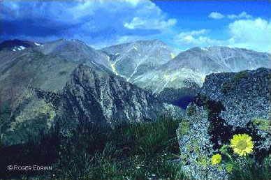 Mt. Shavano