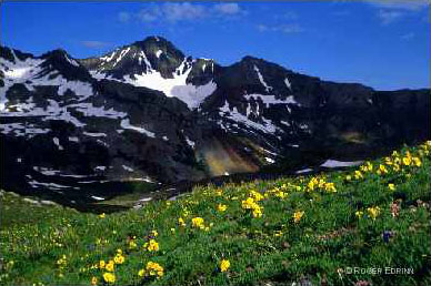 Wilson Peak