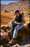 Marmot