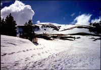 Mt. Bross