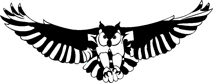 HOOTER