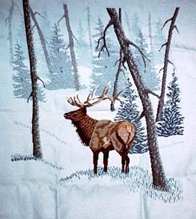 Elk