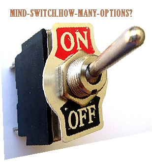 2020/1BRAINSWITCHHOWMANNYOPTIONS.JPG