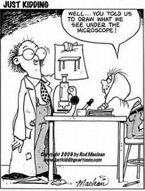 http://www.geocities.ws/hopart/HTMLICAL/DOX/ORIENTALPHYL/SCIENCEWRITERARTISTGOODYEAR.JPG