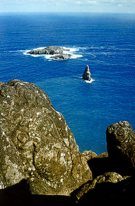 http://www.geocities.ws/hopart/HTMLICAL/EASTARISLAND/EAST.BIRDMEN.HUMBOLT.U.JPG