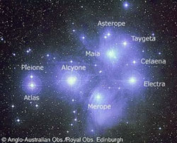 REFLECTION NEBULA  =  ""HEAD IN  CLOUD""