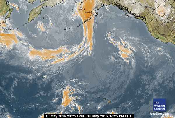 http://www.geocities.ws/hopart/HTMLICAL/pac_oce_sat-dragonpheonix.jpg