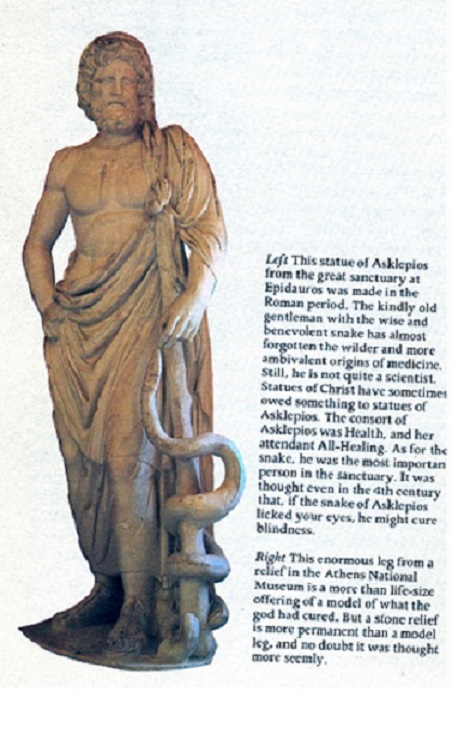 http://www.geocities.ws/hopart/MEDICAL/DR.AKLEPIOS.7GREEK.MEDICINEJPG.jpg