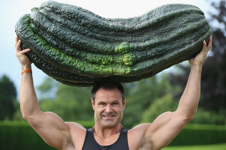 giant-vegetables.JPG