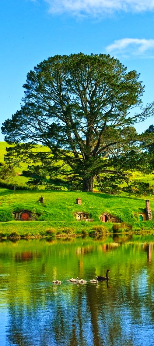  http://www.geocities.ws/hopart/PHOTO/Hobbit%20Houses%20in%20New%20Zealand%20.JPG