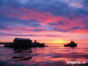 http://www.geocities.ws/hopart/PHOTO/boat/144_250c_tangaroa_sunsetTHOR.H.JPG