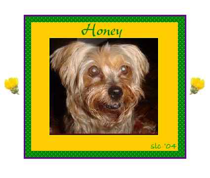 Honey's Picture