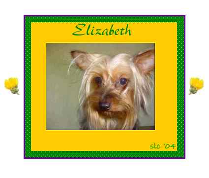 Lizzie's Picture