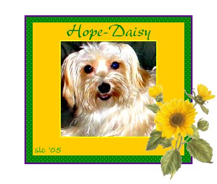 Picture of Hope Daisy