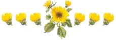 small daisy line