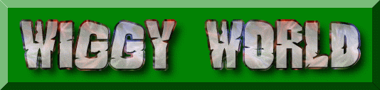 WELCOME TO WIGGY WORLD