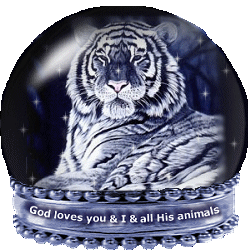 Your Site Graphic