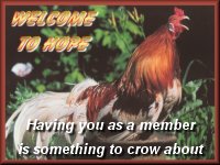 Welcome to Hope