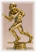 Click here to visit our Show-time Free Football Camp Awards page...