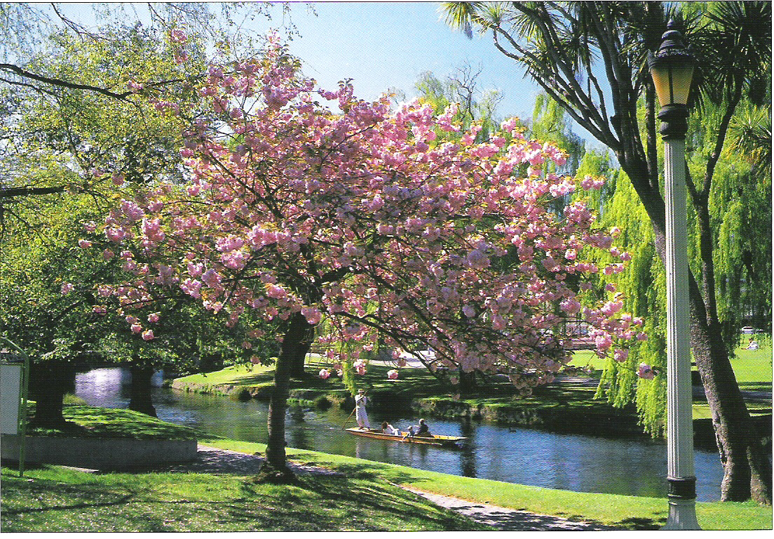 Spring time