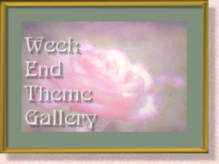 WET banner