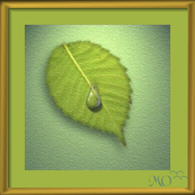 God's Tear