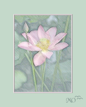 Perfectly Pink 03