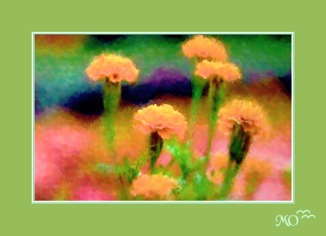 Sunlit Garden 2