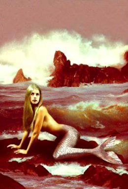 picture by Howard David Johnson - www.howarddavidjohnson.com