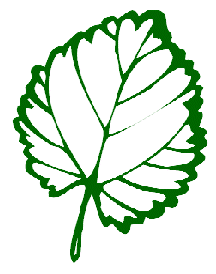 leaf