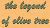 the legend of olive tree