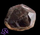 Rutilo