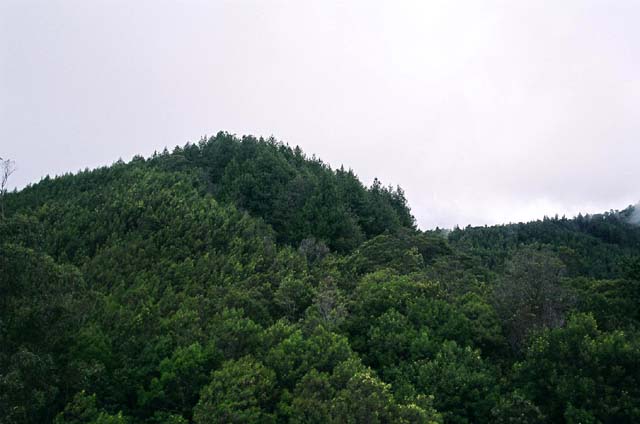 Tower Shot 6