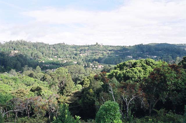 Kodai Valley