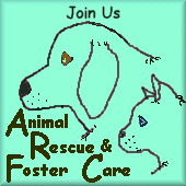 Animal Rescue & Foster Care Webring