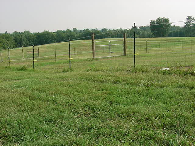 Our pastures are mostly Bermuda.&nbsp; They are cross fenced with large isles between pastures.