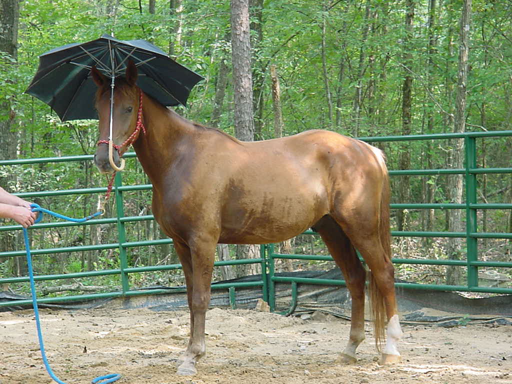 Are we expecting rain?
