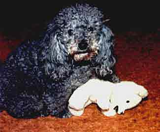 This is my bear and you can't get it