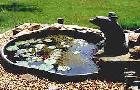 The Goldfish pond