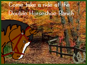 Horses From Here! Go here to adopt!