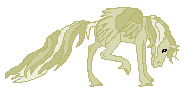 Precious Gold --- Wild Fae Mare --- Guessed 2 years