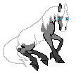 Hot Rod --- Paint Stallion --- 5 years