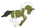 Gold Rod --- Blue-Eyed Done x Hot Rod --- Paint Fae Colt ---&nbsp; Twin of Silver Rod --- 2 years
