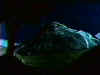 This hill was the first thing we ever saw in the series, and this was the last time we saw it.