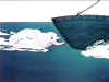 "But why stop there?" The Rhino thought. Then he crashed the submarine again 
