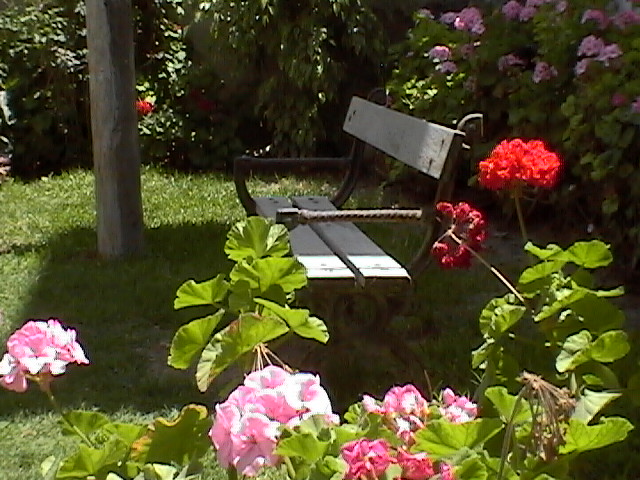 Relaxing garden to take the sun, take a nap or read a book