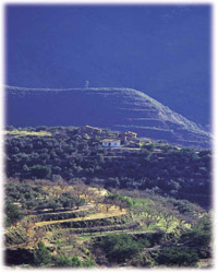 Paisaje