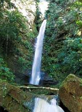 Ahuashiyacu