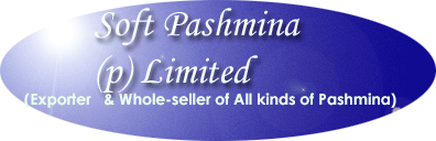 softpashmina